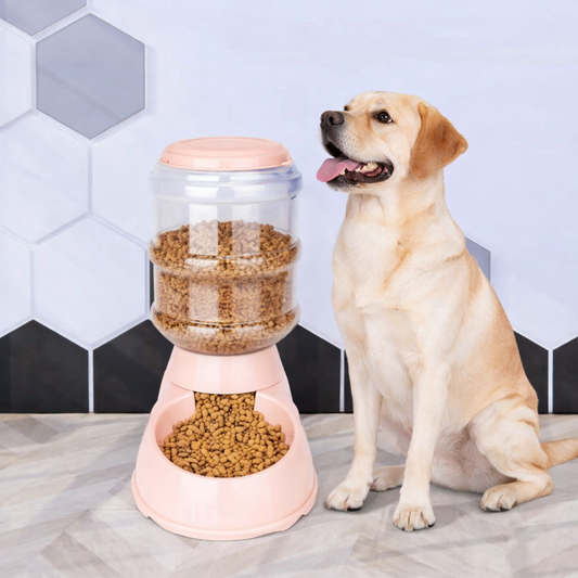 FeedMax™ - Gamelle double grande capacité BRANDLABS – THÈME ANIMAUX